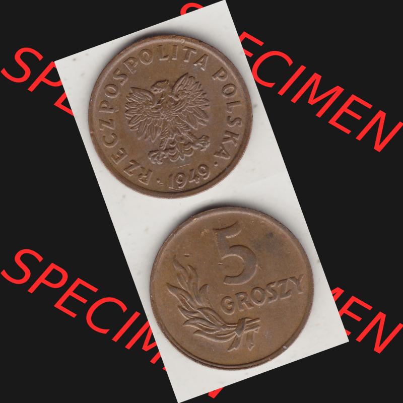 Münzen Polen KMS, Kursmünzensatz 1949-1949, Republik Polen 5 Groszy, Groschen, Bronze 1949-1. Vorderseite und Rückseite vertikal, untereinander mit Wert-Zahl... Sammlung