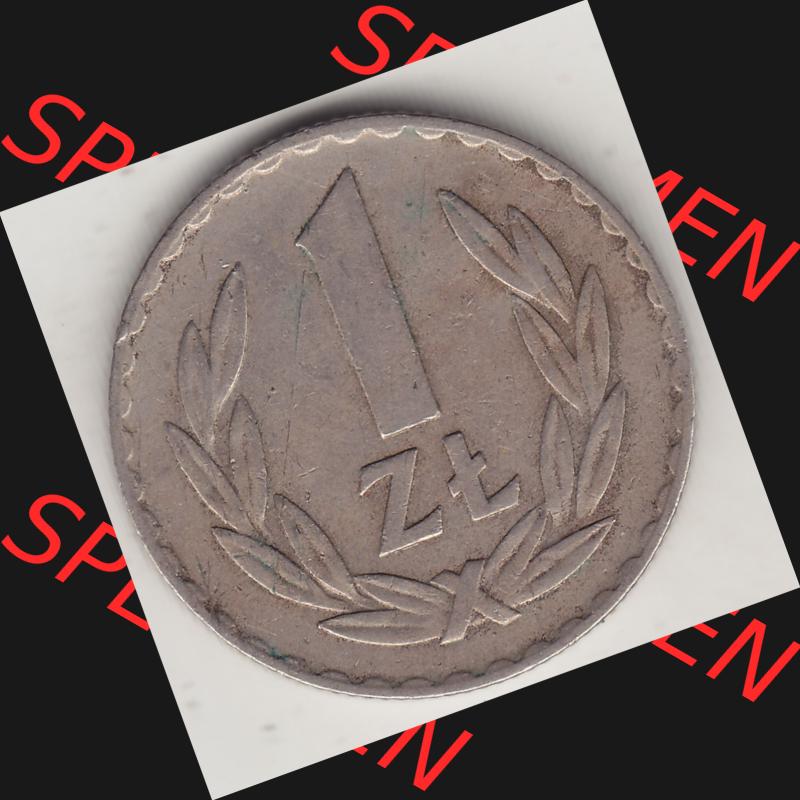 Münzen Polen KMS, Kursmünzensatz 1949-1949, Republik Polen 1 Zloty, Kupfer 1949-1. Rückseite mit Wert-Zahl / Wert-Angabe einer polnischen Münzen auf einen... Sammlung