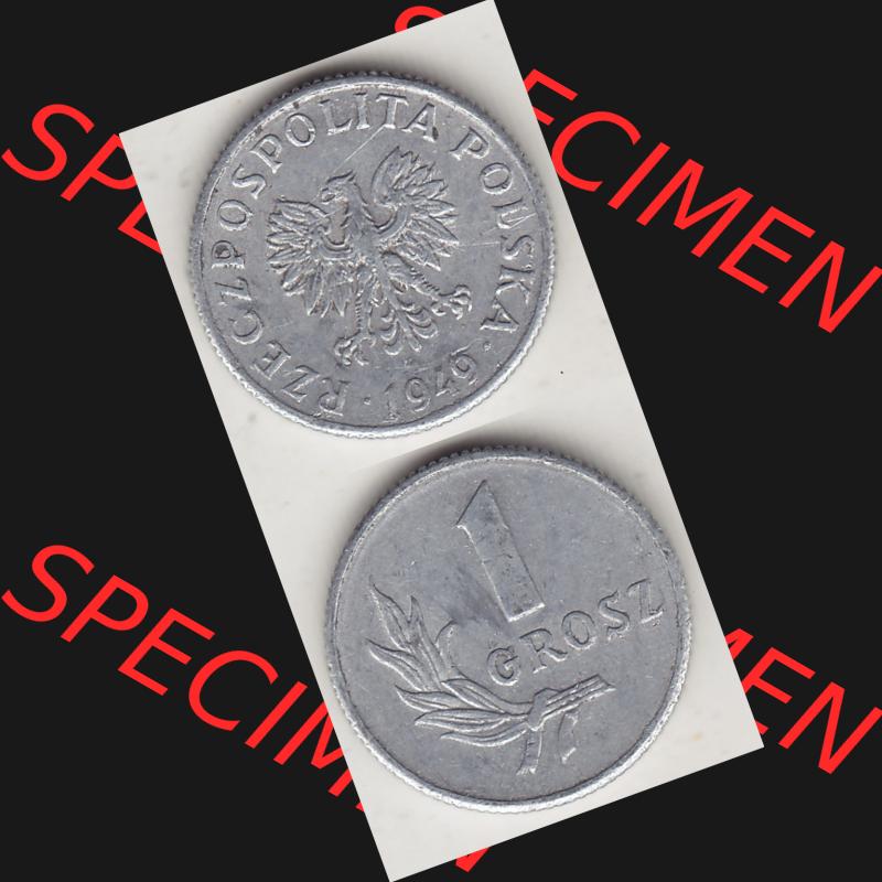 Münzen Polen KMS, Kursmünzensatz 1949-1949, Republik Polen 1 Grosz, Groschen, Aluminium 1949-1. Vorderseite und Rückseite vertikal, untereinander mit... Sammlung