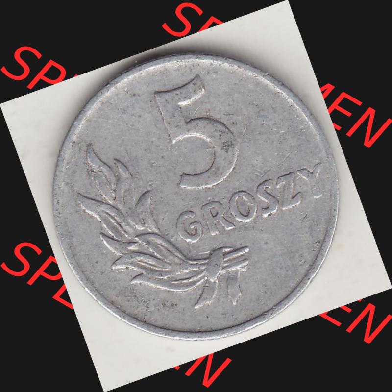 Münzen Polen KMS, Kursmünzensatz 1949-1949, Republik Polen 5 Groszy, Groschen, Aluminium 1949-1. Rückseite mit Wert-Zahl / Wert-Angabe einer polnischen... Sammlung