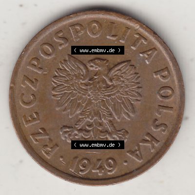 Münzen Polen KMS, Kursmünzensatz 1949-1949, Republik Polen 5 Groszy, Groschen, Bronze 1949-1. Vorderseite einer polnischen Münzen auf einen Digitalen Bild... Sammlung