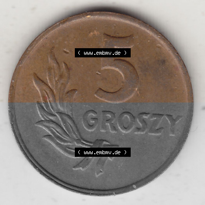 1949-1949, Republik Polen 5 Groszy, Groschen, Bronze 1949 Sammlung