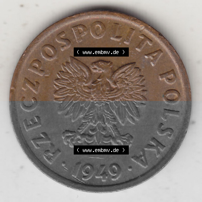 1949-1949, Republik Polen 5 Groszy, Groschen, Bronze 1949 Sammlung