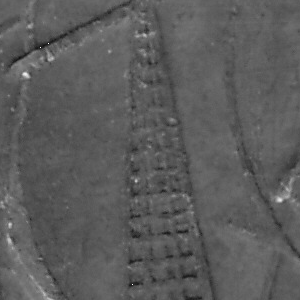Ausschnitt zur Qualitätsprüfung vom Digitalen Bild Qualität