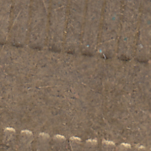 Ausschnitt zur Qualitätsprüfung vom Digitalen Bild Qualität