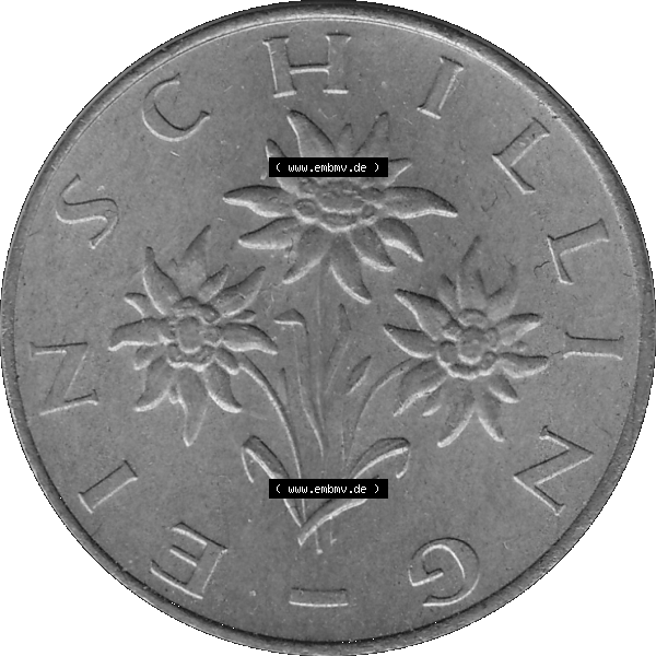 Grau bzw. s/w Alte Münzen Österreich 1 / Ein Schilling 1959-2001, 1 Schilling 1976-01, Ein Shilling Edelweiß. Rückseite der alten 1 / Ein Schilling Münze Edelweiß... Sammlung Graustufen