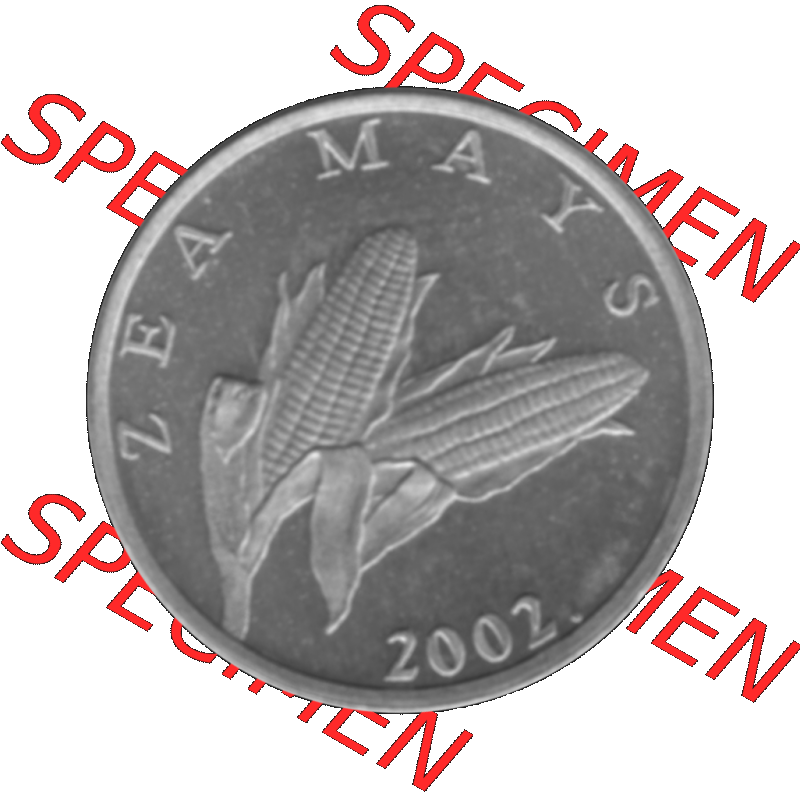 Alte Münze Kroatien Umlaufmünze 1994-2022, 1 Lipa 2002-01 Graustufen Graustufen. Rückseite mit Motiv der Umlaufmünze in Graustufen der Münze aus Kroatien auf einen... Sammlung