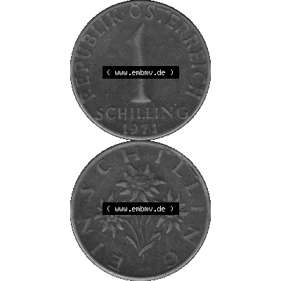 Alte Münzen Österreich 1 / Ein Schilling in Graustufen 1959-2001, 1 Schilling 1971-01, Ein Shilling Edelweiß Graustufen. Vorderseite und Rückseite in Graustufen... Sammlung
