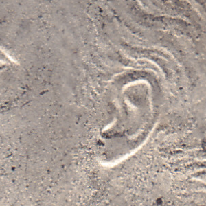 Ausschnitt zur Qualitätsprüfung vom Digitalen Bild Qualität