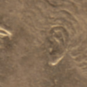 Ausschnitt zur Qualitätsprüfung vom Digitalen Bild Qualität