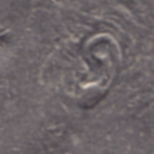 Ausschnitt zur Qualitätsprüfung vom Digitalen Bild Qualität