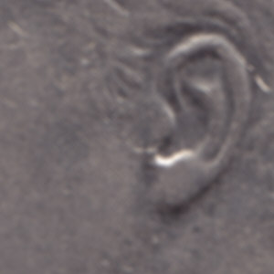 Ausschnitt zur Qualitätsprüfung vom Digitalen Bild Qualität