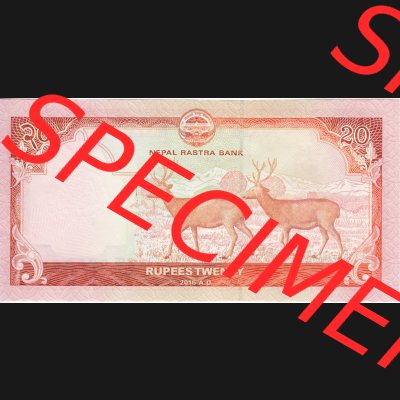 Banknoten Asien Nepal 2016, 20 Rupees, Rupien (2) Sammlung