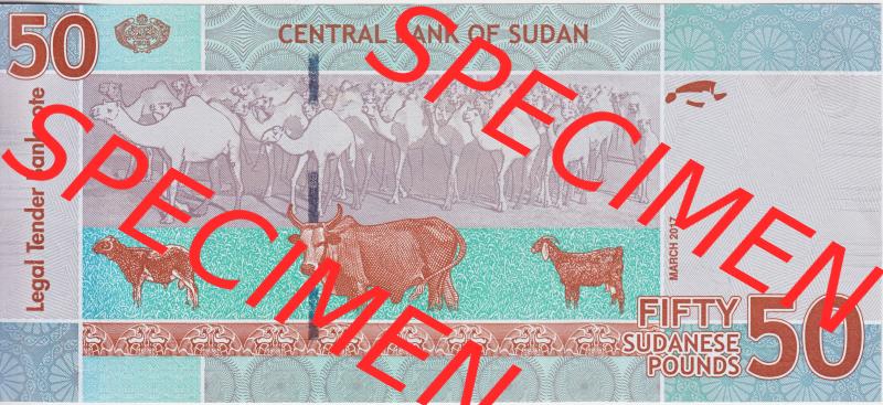 Banknoten Afrika Sudan 2015, 50 Fifty Sudanese Pounds (2) Sammlung