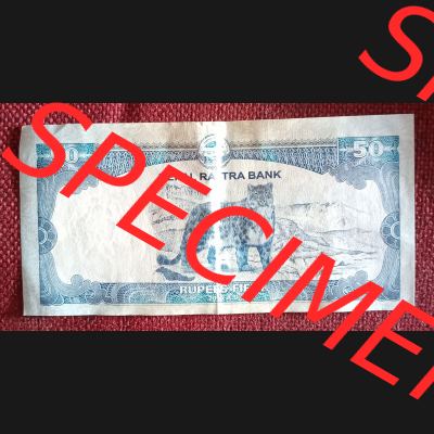 Banknoten Asien Nepal (0005) Die Rückseite zeit ein Raubtier in der Wildnis.50 Rupien sind gerade mal 0,35 Euro Wert. Der 1000 Rupienschein, der auch der größte... Sammlung