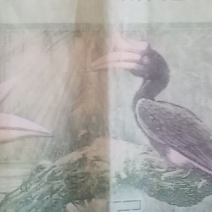 Qualität