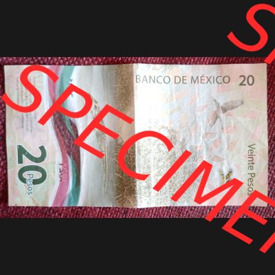 Banknote Mexiko (0002) Auf der Rückseite der Polymerbanknote sieht man eine Flusslandschaft mit Krokodil und einem Vogel. Sammlung