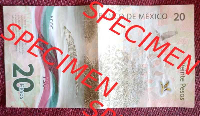 Banknote Mexiko (0002) Auf der Rückseite der Polymerbanknote sieht man eine Flusslandschaft mit Krokodil und einem Vogel. Sammlung