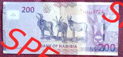 Banknoten Namibia: Die Rückseite, bekannt durch Wildtiere und ein Kopf eines Tieres rechts. Also alles wie bei einem 10er, 20er,... Sammlung