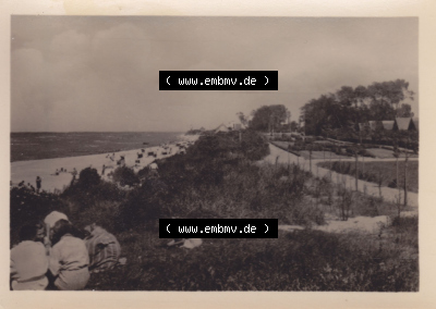 Alte Fotos von der Insel Poel in Mecklenburg-Vorpommern, 1955 Schwarzer Busch am Strand. Alter und echter original Foto-Abzug... Sammlung