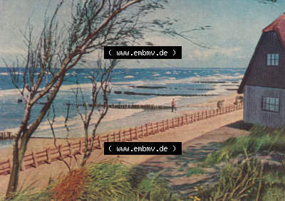 Alte Fotos von Ostseebad Ahrenshoop Lithografien in Mecklenburg-Vorpommern 4. Haus am Strand. Alter und echter original Foto-Abzug... Sammlung