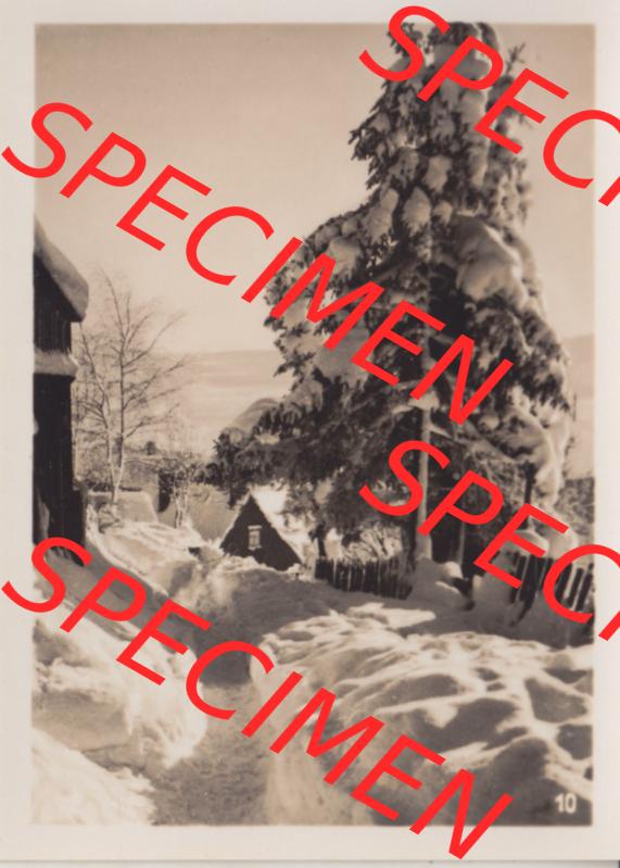 Alte Fotos von Stadt Benneckenstein in Kreis Harz zu DDR-Zeiten, 10. Winterzauber am Wildenberg. Alter und echter original Foto-Abzug aus einer Fotomappe, welche zu DDR-Zeiten... Sammlung