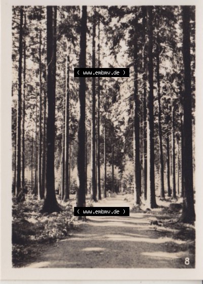 Alte Fotos von Stadt Benneckenstein in Kreis Harz zu DDR-Zeiten, 8. Die gute Stube. Alter und echter original Foto-Abzug aus einer... Sammlung