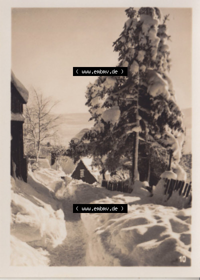 Alte Fotos von Stadt Benneckenstein in Kreis Harz zu DDR-Zeiten, 10. Winterzauber am Wildenberg. Alter und echter original Foto-Abzug... Sammlung