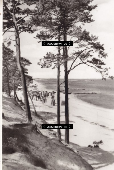 Alte Fotos Ostseebad Lubmin in Mecklenburg-Vorpommern 1966, 10. Ostseebad Lubmin - Blick zum Strand, P 1-66 IV-14-45 N 3472. Altes... Sammlung