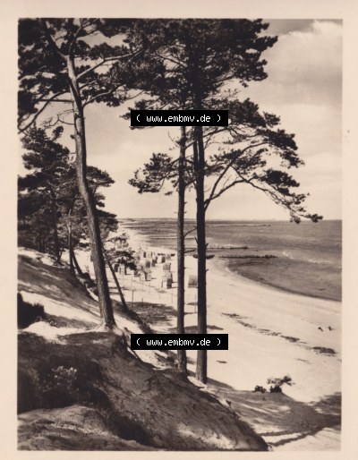 Altes Foto von Ostseebad Lubmin in Mecklenburg-Vorpommern 1961, 4. Blick zum Strand. Alter und echter original Foto-Abzug aus... Sammlung
