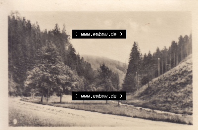 Alte Fotos von Tambach-Dietharz in Thüringen 9. Dietharzer Grund. Alter und echter original Foto-Abzug aus einer Fotomappe, welche... Sammlung