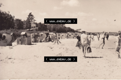Alte Fotos von Ostseebad Zingst in Mecklenburg-Vorpommern B 8-63, Strand mit Strandkörben Zingst. Alter und echter original Foto-Abzug... Sammlung