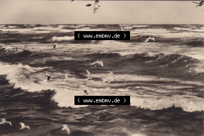 Alte Fotos von Ostseebad Sellin in Mecklenburg-Vorpommern 1963, 10. An der Ostsee in Ansichten K 579. Altes Foto aus der DDR zu... Sammlung