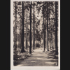 Digitales Bild Weiter
