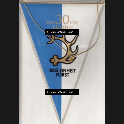 DDR Sportclub Wimpel 1982, 30 Jahre BSG Einheit Forst 1952-1982. Vorderseite vom Wimpel aus der DDR, Sportwimpel vom Sportverein BSG Einheit Forst zu DDR-Zeiten. Sammlung