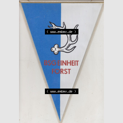 DDR Sportclub Wimpel 1982, 30 Jahre BSG Einheit Forst 1952-1982. Rückseite von einen Wimpel aus der DDR, Sportwimpel BSG Einheit Forst zu DDR-Zeiten. Sammlung