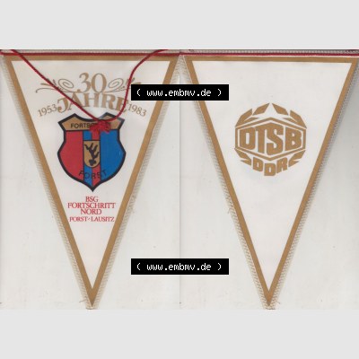 DDR Sportclub Wimpel 1983, 30 Jahre BSG Fortschritt Nord - Forst-Lausitz 1953-1983. BSG Fortschritt Nord in DTSB der DDR Komplettansicht von einen Wimpel aus der DDR, Sportwimpel BSG... Sammlung