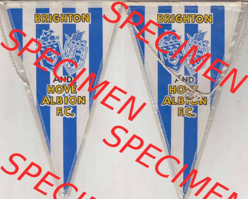 Internationaler Fußball Wimpel der GBR Schottland Brighton & Hove Albion, auch bekannt als The Seagulls, ist ein englischer Fußballverein. Komplettansicht mit Vorderseite... Sammlung